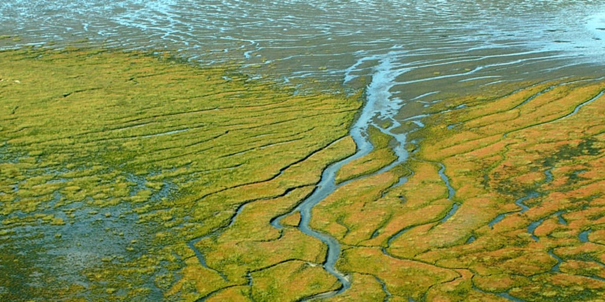 Common Wadden Sea Secretariat
