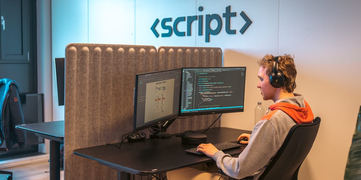 Software Developer / IT Coach