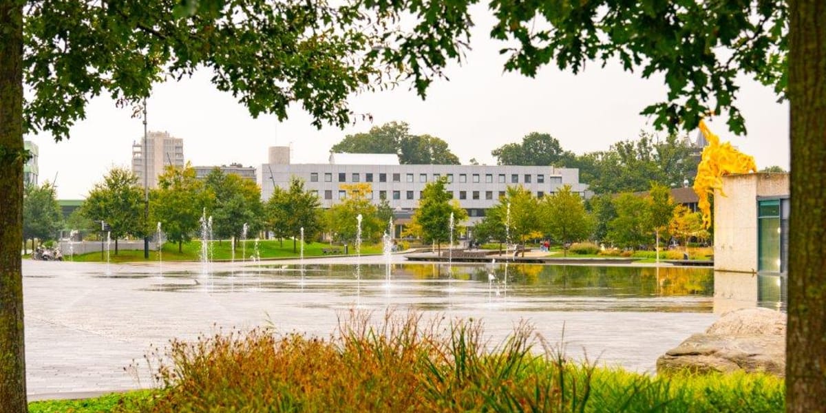 Senior Stedenbouwkundige