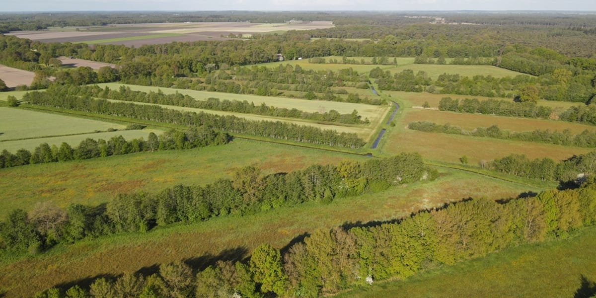 Landschapsbeheer Drenthe