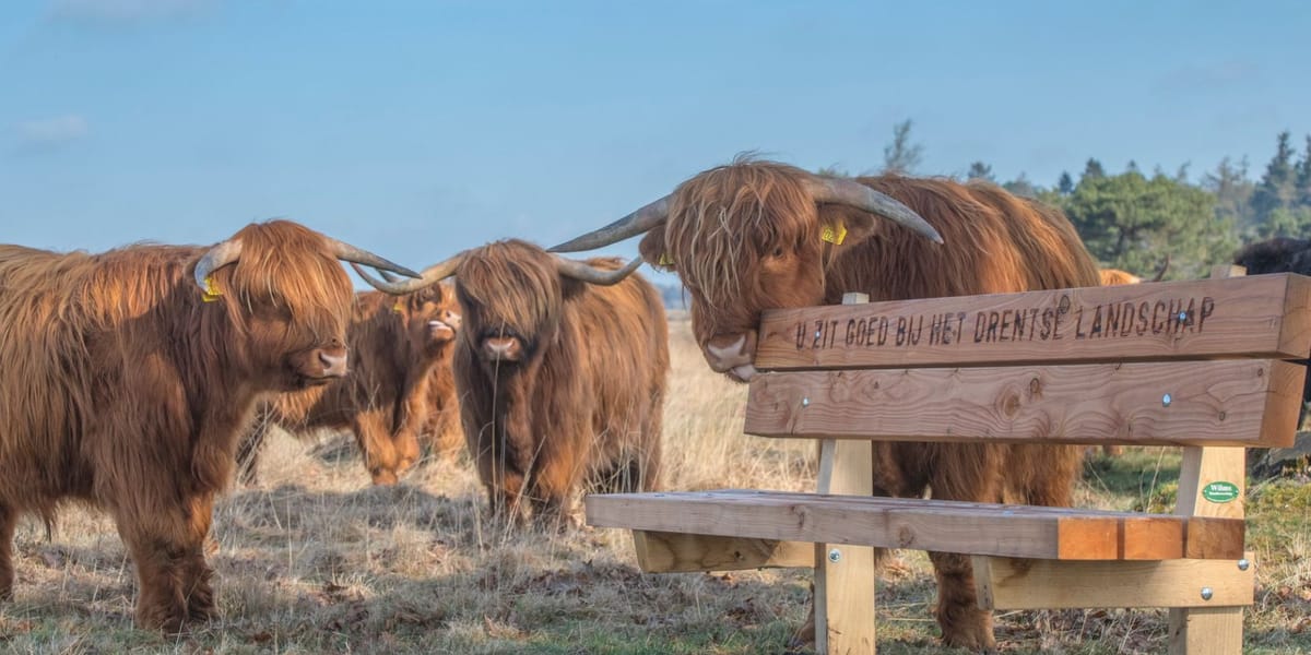 Stichting Het Drentse Landschap