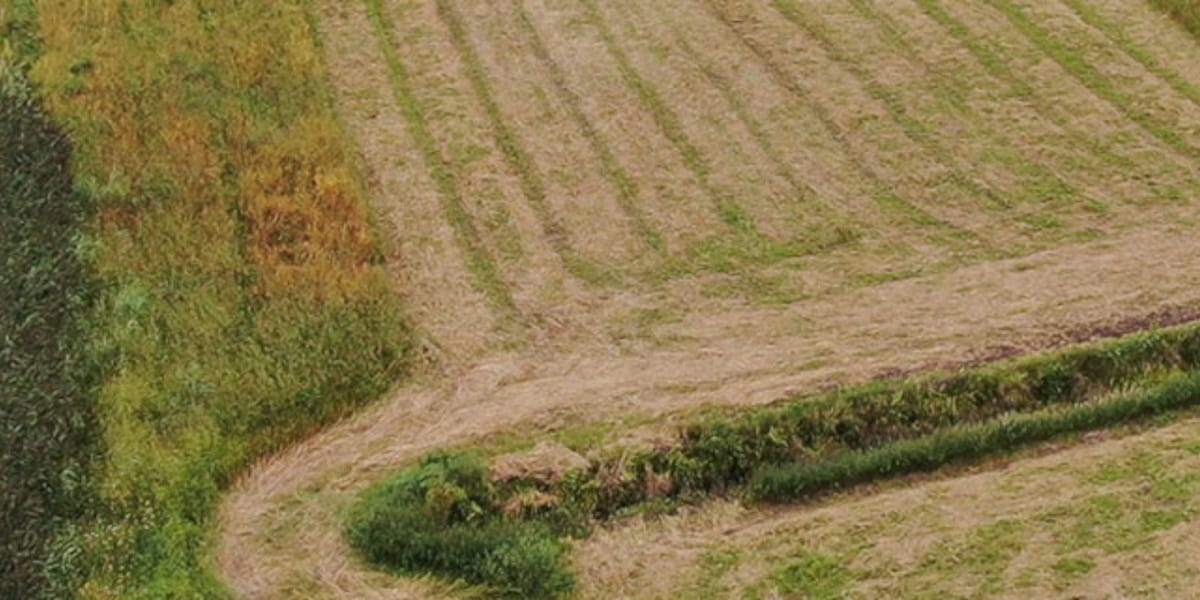 Agrarische Natuur Drenthe