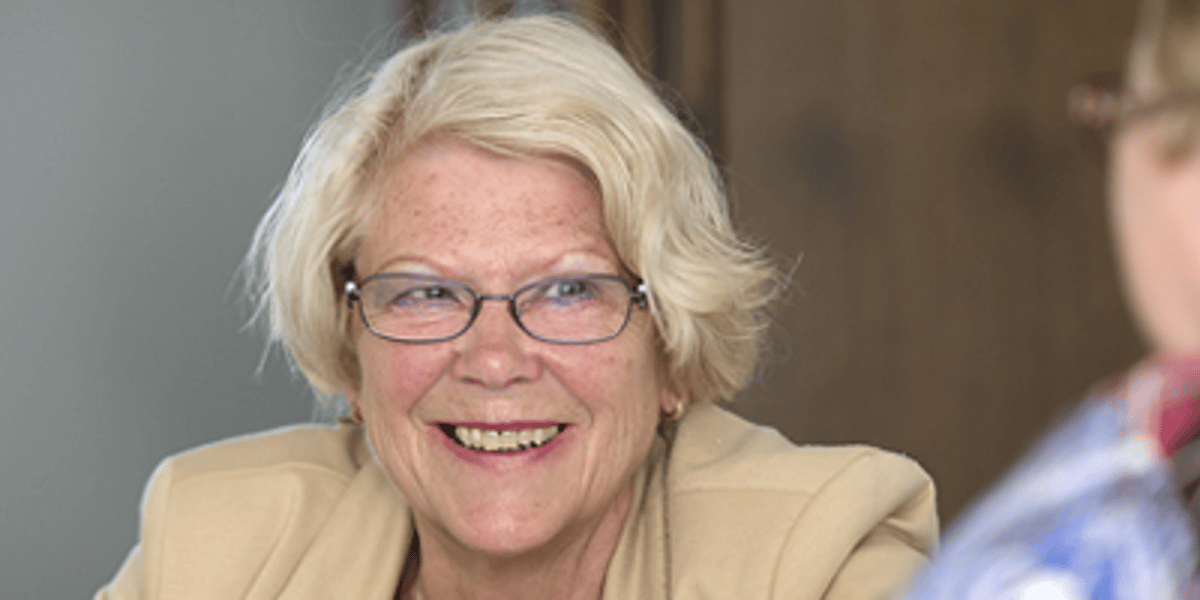 Stichting de Toegang