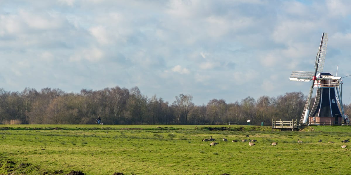 Gemeente Haren