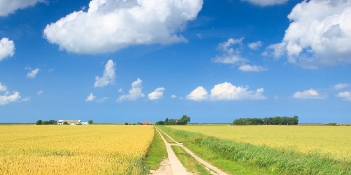 Gemeente Het Hogeland