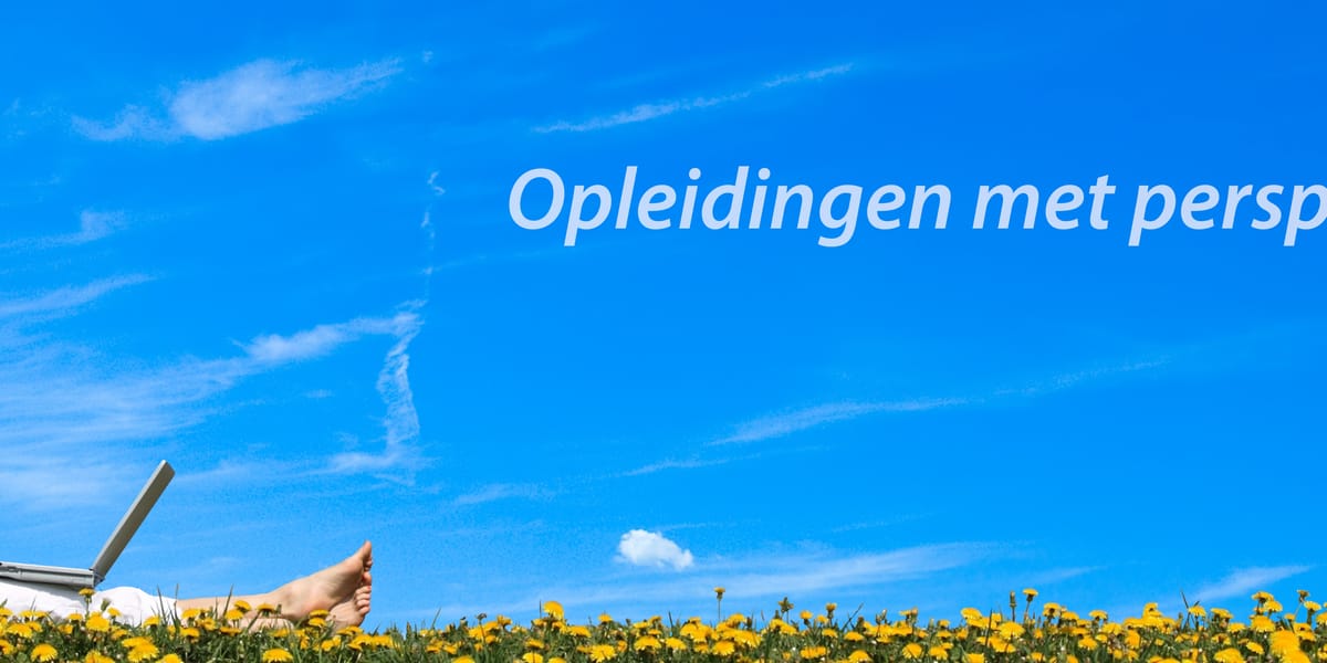 Onderwijsgroep Noord