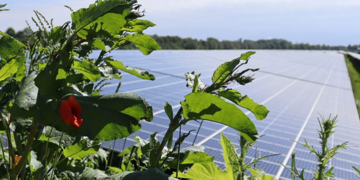Solarfields