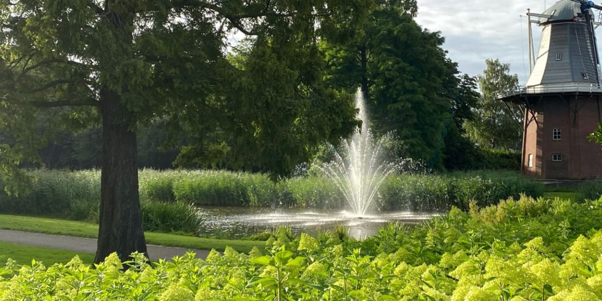 Medewerker Buitendienst Groen & Bomen (ETW)