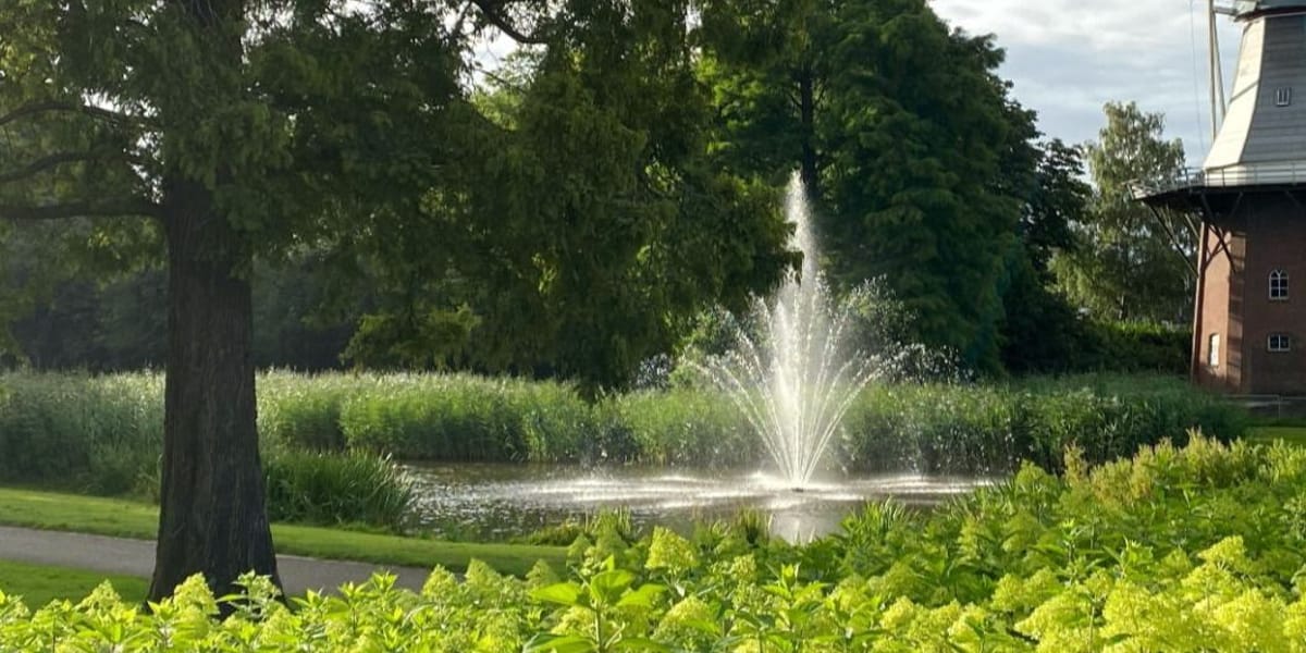 Jongerenconsulent Leerplicht & Doorstroom 