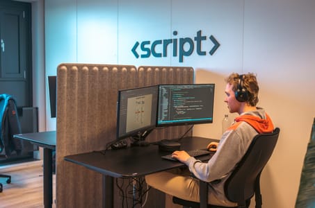 Software Developer / IT Coach