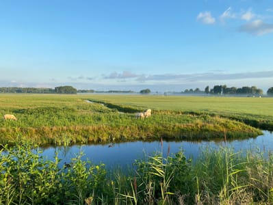 Interview met expert Renee Out over zwangerschapsverlies op de werkvloer