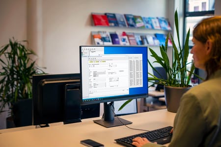 Business Analyst