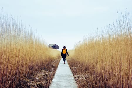 Medewerker beleidsuitvoering Bodem en Milieu
