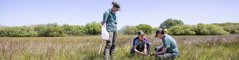 Senior boswachter ecologie Súdeast-Fryslân