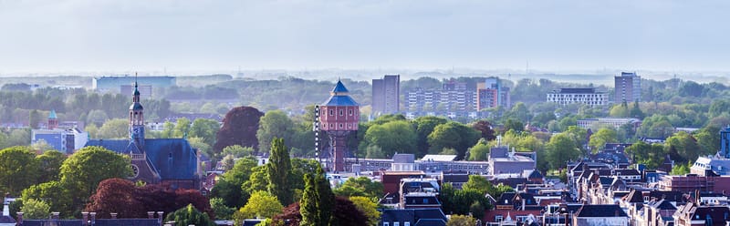 Hovenier Groen en Ecologie bij Team Groen