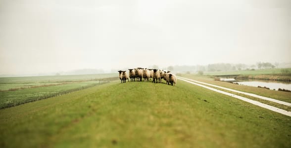 Werken en netwerken in het Noorden: zo begin je