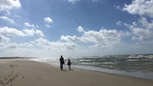 Beleidsmedewerker Wadlopen (24 uur)